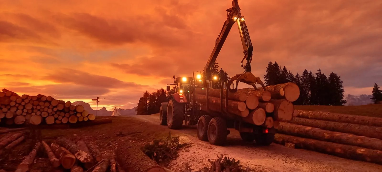 Débardage et chargement de grumes sur un camion forestier